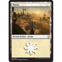 (Foil) Terrain - Plaine (V3) (L) [DOM]