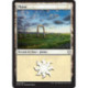(Foil) Terrain - Plaine (V4) (L) [DOM]