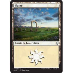 (Foil) Terrain - Plaine (V4) (L) [DOM]