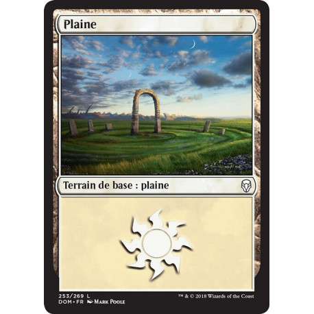 (Foil) Terrain - Plaine (V4) (L) [DOM]