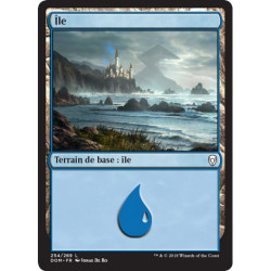 (Foil) Terrain - Île (V1) (L) [DOM]