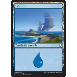 (Foil) Terrain - Île (V2) (L) [DOM]