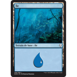 (Foil) Terrain - Île (V3) (L) [DOM]