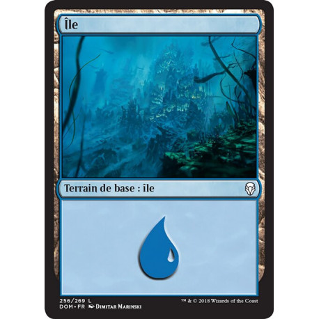 (Foil) Terrain - Île (V3) (L) [DOM]
