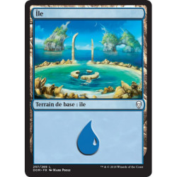 (Foil) Terrain - Île (V4) (L) [DOM]