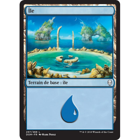 (Foil) Terrain - Île (V4) (L) [DOM]
