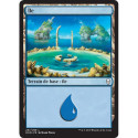 (Foil) Terrain - Île (V4) (L) [DOM]