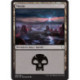 (Foil) Terrain - Marais (V1) (L) [DOM]