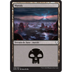 (Foil) Terrain - Marais (V1) (L) [DOM]