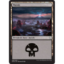 (Foil) Terrain - Marais (V1) (L) [DOM]