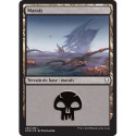 (Foil) Terrain - Marais (V2) (L) [DOM]