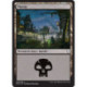 (Foil) Terrain - Marais (V3) (L) [DOM]