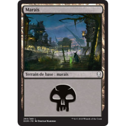 (Foil) Terrain - Marais (V3) (L) [DOM]