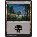 (Foil) Terrain - Marais (V3) (L) [DOM]