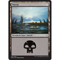 (Foil) Terrain - Marais (V4) (L) [DOM]