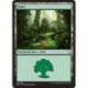 (Foil) Terrain - Forêt (V1) (L) [DOM]