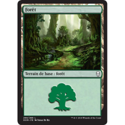 (Foil) Terrain - Forêt (V1) (L) [DOM]
