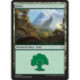 (Foil) Terrain - Forêt (V2) (L) [DOM]