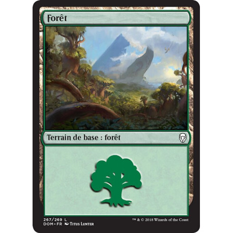 (Foil) Terrain - Forêt (V2) (L) [DOM]