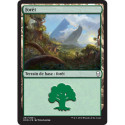 (Foil) Terrain - Forêt (V2) (L) [DOM]