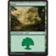 (Foil) Terrain - Forêt (V3) (L) [DOM]