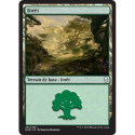 (Foil) Terrain - Forêt (V3) (L) [DOM]