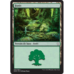 (Foil) Terrain - Forêt (V4) (L) [DOM]