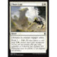 (Foil) Blanche - Chute à pic (C) [BFZ]