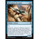 (Foil) Bleue - Raie manta des nuées (C) [BFZ]