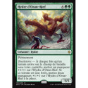 (Foil) Verte - Hydre d'Oran-Rief (R) [BFZ]