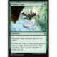 (Foil) Verte - Tomber à pic (C) [BFZ]