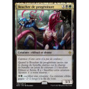 (Foil) Multicolore - Boucher de progéniture (R) [BFZ]