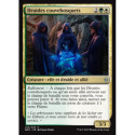 (Foil) Multicolore - Druides couvebosquets (U) [BFZ]