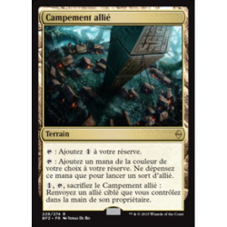 (Foil) Terrain - Campement allié (R) [BFZ]