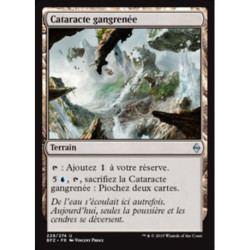 (Foil) Terrain - Cataracte gangrenée (U) [BFZ]