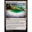 (Foil) Terrain - Maremme gangrénée (U) [BFZ]