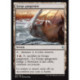 (Foil) Terrain - Gorge gangrénée (U) [BFZ]