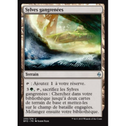 (Foil) Terrain - Sylves gangrenées (U) [BFZ]