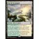 (Foil) Terrain - Vue de la canopée (R) [BFZ]