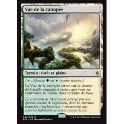 (Foil) Terrain - Vue de la canopée (R) [BFZ]