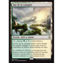 (Foil) Terrain - Vue de la canopée (R) [BFZ]