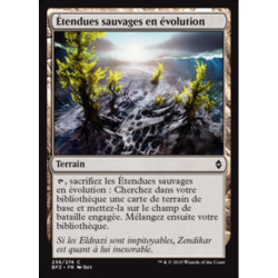 (Foil) Terrain - Étendues sauvages en évolution (C) [BFZ]