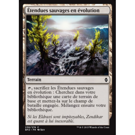 (Foil) Terrain - Étendues sauvages en évolution (C) [BFZ]