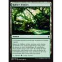 (Foil) Terrain - Halliers fertiles (C) [BFZ]