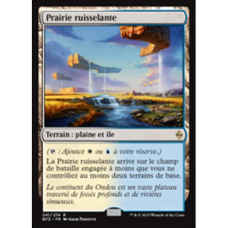(Foil) Terrain - Prairie ruisselante (R) [BFZ]