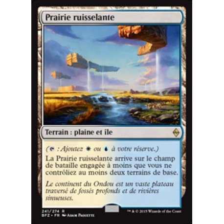 (Foil) Terrain - Prairie ruisselante (R) [BFZ]