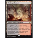 (Foil) Terrain - Marécage fumant (R) [BFZ]
