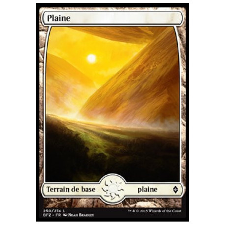 (Foil) Terrain - Plaine (V1) (L) [BFZ]