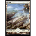 (Foil) Terrain - Plaine (V2) (L) [BFZ]