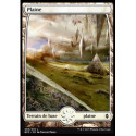 (Foil) Terrain - Plaine (V4) (L) [BFZ]